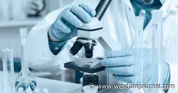 Lab Leak Breakthrough? DNA Researchers May Have Found the Bioengineered 'Ancestor' to COVID