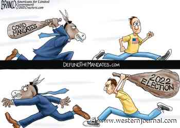 Fighting Back