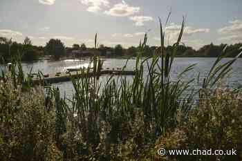 Councillor's avian flu warning after 50 dead birds found at Sutton reservoir - Mansfield and Ashfield Chad