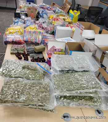 Almost $3.5 million in illegal drugs seized near Colborne - Quinte News