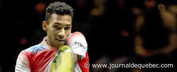Félix Auger-Aliassime dans le carré d'as à Rotterdam