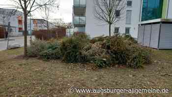 Müllabfuhr stockt: Ja, ist denn in Augsburg noch Weihnachten? - Augsburger Allgemeine
