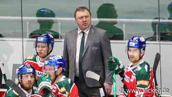 Augsburg Panther trennen sich von Pederson - kicker