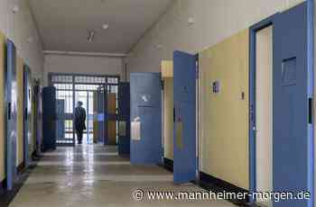 Fauler Pelz in Heidelberg: Land sieht keine Genehmigungspflicht - Metropolregion - Mannheimer Morgen