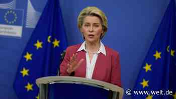 FDP will Geld für Ursula von der Leyens Kabinett einfrieren