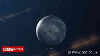 Life could exist on planet orbiting 'white dwarf' star