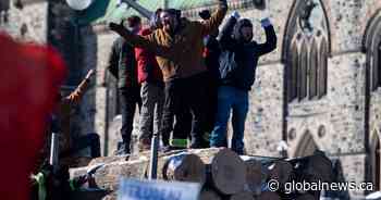 Big rigs, passenger vehicles snarl downtown Ottawa as trucker convoy parks by Parliament - National | Globalnews.ca - Global News