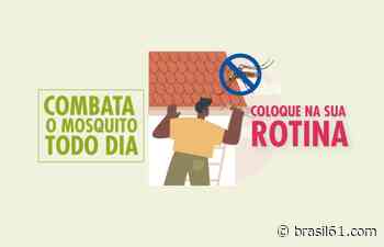 Dracena (SP) precisa reforçar ações para conter avanço da dengue - Brasil 61