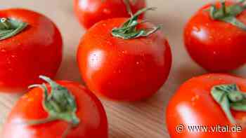3 Gründe, warum Sie Tomaten essen sollten - Vital
