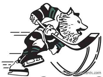 Rookie goalie stands tall for Manitoba Bisons in upset win over Huskies