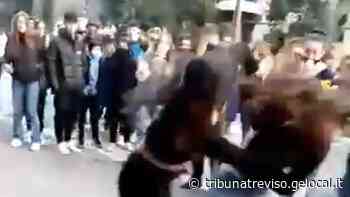 Rissa tra cinque ragazzine alla stazione dei bus di Oderzo - La Tribuna di Treviso