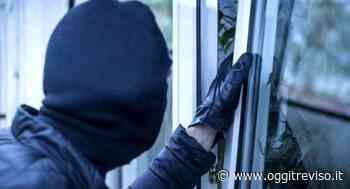 Oderzo, ladri in azione: spariti gioielli e una fede nuziale - Oggi Treviso
