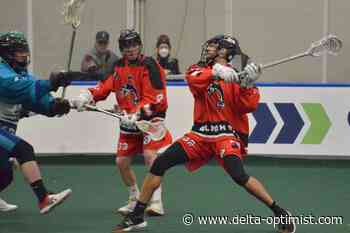 Ladner lacrosse standouts provide some late game heroics - Delta-Optimist