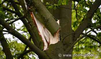 Storm Corrie trekt over Steenbergen, code geel voor zware windstoten - Internetbode