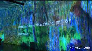 Beyond Monet exhibit immerses you in the world of Impressionist painter Claude Monet - WSVN 7News | Miami News, Weather, Sports | Fort Lauderdale