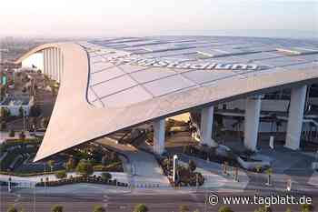 Was die Schwaben zum Bau des gigantischen Stadions beigetragen haben - Schwäbisches Tagblatt