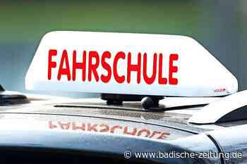 "Ein Begleiter soll unterstützen, beraten und auch auf Fehler hinweisen" - Breisach - Badische Zeitung