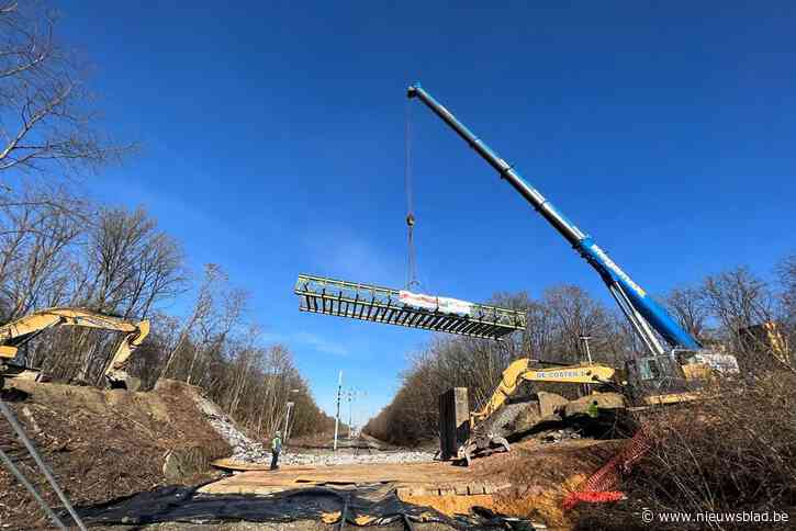 Elektrificatie spoorlijn Hasselt-Mol op schema: afbraak 100-jarige brug in Beringen gestart