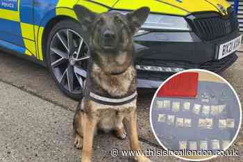 Lewisham police dog finds drugs in last shift before retirement