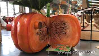 Arras : un petit coin de Cité Nature pendant les vacances - La Voix du Nord