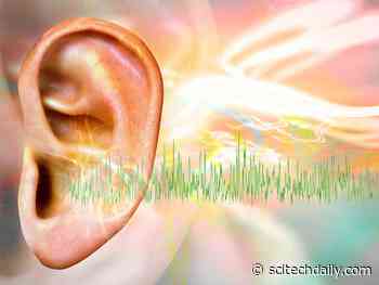 Frequent Use of Aspirin, Advil, or Tylenol Associated With Higher Risk of Tinnitus
