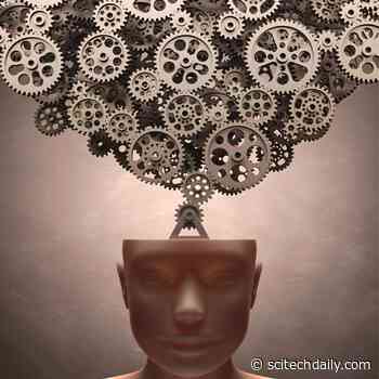 Lifetime of Knowledge Can Clutter Memories of Older Adults