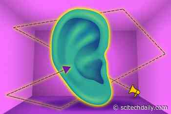 Where Did That Sound Come From? MIT Neuroscientists Can Answer That Question