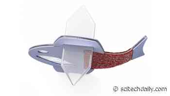 Autonomous Biohybrid Fish – Made From Human Cardiac Cells – Swims Like the Heart Beats