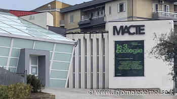 Al Macte di Termoli in mostra "Le 3 ecologie" a cura di Caterina Riva - Il Giornale del Molise