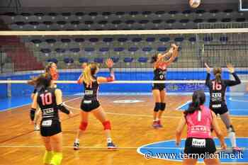 Termoli: Pallavolo serie D, Asd Termoli sfida la prima in classifica - Termoli Online