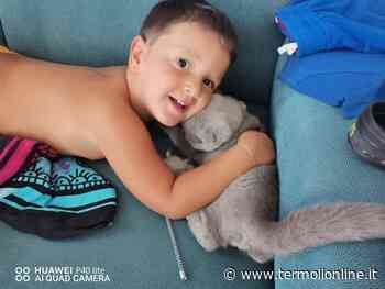 Termoli: Francesco Guadagno compie 4 anni: augurissimi - Termoli Online