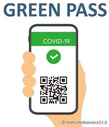 A Termoli nuova manifestazione del Comitato No Green Pass – Non toccate i minori - Molise News 24