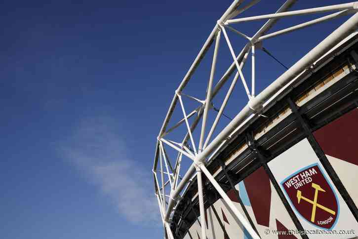 West Ham United urged to rethink Redbridge playing fields plans