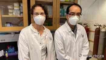 Sewage science: how experts use wastewater to track COVID-19 in Sask.