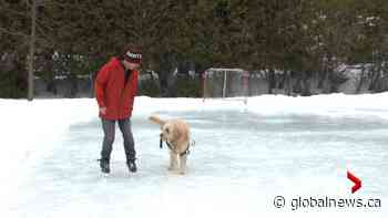 Beaconsfield residents take matters into own hands and make skating rink a reality - Globalnews.ca