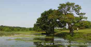 Sutton Park's future management and funding options considered in new report - Birmingham Live