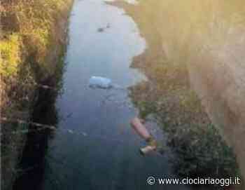 Rifiuti abbandonati e persino la carcassa di un cane: residenti sulle barricate - ciociariaoggi.it