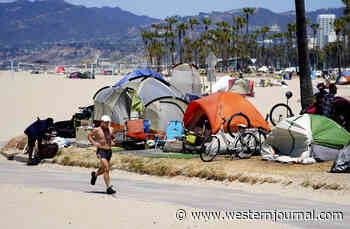 Community Leader Goes Rogue, Exposes What Los Angeles Is Doing to the Homeless Ahead of Super Bowl
