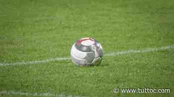 INTERVISTA TC - Minguzzi: "L'Ancona Matelica è la sorpresa del girone B" - Tutto Lega Pro