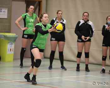 Davo Wevelgem A bekert tegen Vlamertinge en Kalmthout: “Bekerwedstrijden zijn altijd speciaal” - KW.be