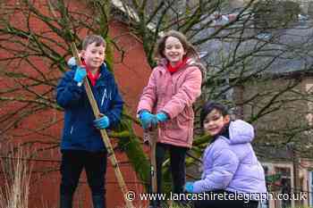 Details of half-term free tree planting sessions in Blackburn announced