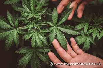 Unpaid work for man who produced cannabis - The Bolton News