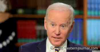 Biden Could Be One of the Three Stooges After He Lashes Out at Lester Holt: You're a Wise Guy!