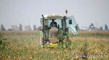 Cia Cuneo: "Aumenta tutto tranne la rendita degli agricoltori. Basta speculazioni" - Cuneo24