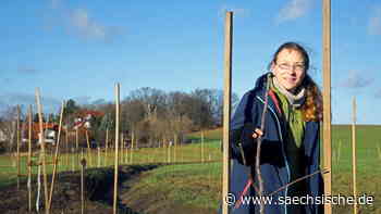 Riesa: Riesaer Feld verwandelt sich in alternative Gärtnerei - saechsische.de