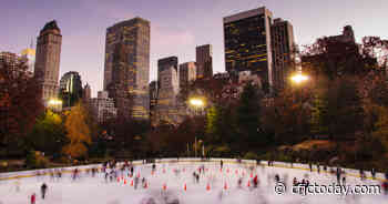 Ice-Skating Rescue Dog Makes New York Debut - CFJC Today Kamloops