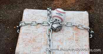 Giants RHP Austin Reich suspended 50 games - McCovey Chronicles