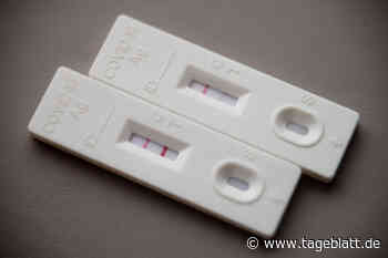 381 Neuinfektionen, Inzidenz im Kreis Stade sinkt unter 900 - Landkreis Stade - Tageblatt-online