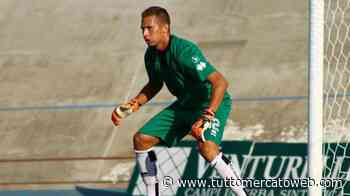 Legnago, rinforzo tra i pali: arriva il portiere ex Carpi Andrea Rossini - TUTTO mercato WEB