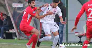 Athletic Carpi, per la sfida al Prato ingresso gratuito in Curva - GianlucaDiMarzio.com